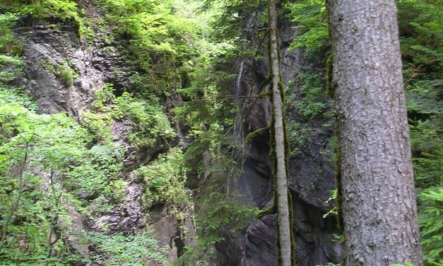 Die vielen Vorteile des steigenden CO2-Gehalts in der Atmosphäre