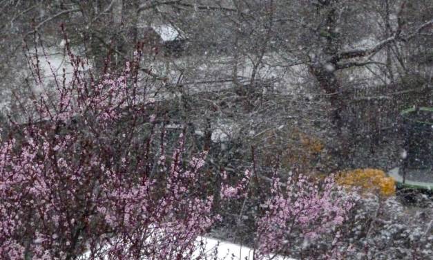 Kaltstart in den Ostermond: Erste Aprildekade deutlich zu kalt und unfreundlich – ist die Zeit der überwiegend warmen Frühjahre in Deutschland vorerst vorbei?