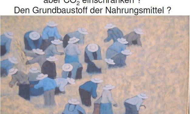 Steigender CO2-Gehalt verbessert die Wassernutzungs-Effizienz von Pflanzen
