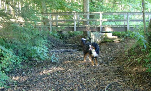 Die zunehmende Bebauung und Versiegelung in Deutschland heizt uns kräftig ein – der zunehmende Wärmeinseleffekt.  Teil 2