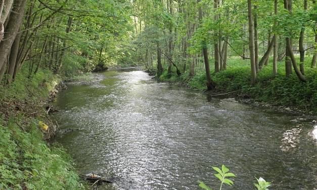 Trocknen deutsche Flüsse wegen Klimawandel aus?