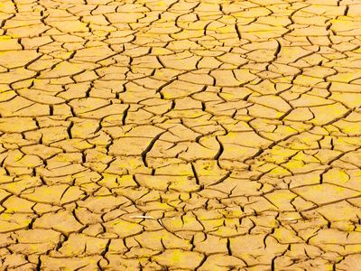 WIDERLEGT: Dürre in Europa soll „schlimmste Dürre seit 500 Jahren“ sein …