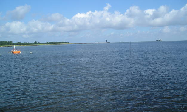 Die Bewertung des Energieungleichgewichts der Erde durch den IPCC basiert auf physikalisch ungültigen Schätzungen des globalen Wärmegehalts der Ozeane, die wiederum auf Argo-Floats basieren.