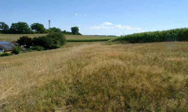 Die Sommererwärmung am Tage bestimmt vorrangig die Jahreserwärmung seit 1988