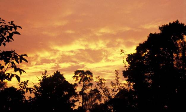 Nicht der Klimawandel, sondern der Klima-Extremismus macht die Welt kaputt