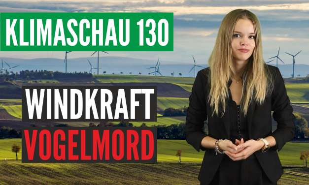 Die Kehrseite der Windkraft: Massentötung von Vögeln und Fledermäusen – Klimaschau 130