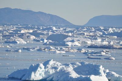 Wie sich der grönländische Eisschild in diesem Jahr WIRKLICH verhalten hat