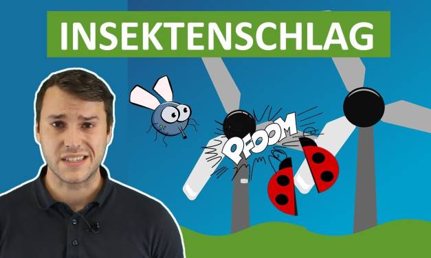 Windkraft und Insektenschlag – Klimawissen – kurz&bündig