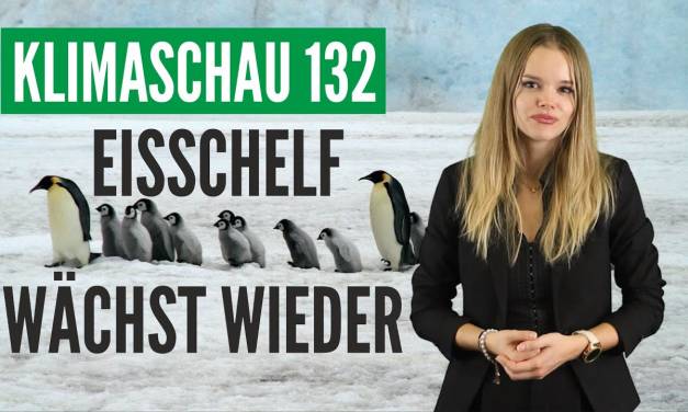 Überraschung: Eisschelf der Antarktischen Halbinsel expandiert seit 20 Jahren – Klimaschau 132