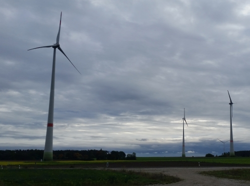 Windenergie: Artenschutz durch EU-Notfallverordnung auch in Natura-2000-Gebieten ausgehebelt
