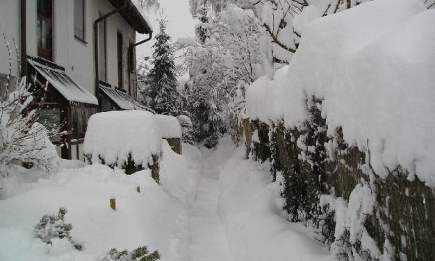 Kältereport Nr. 31 / 2022