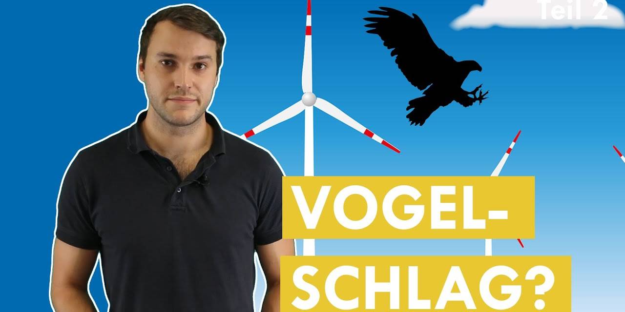 Vogelkiller Windkraftanlage? – Klimawissen – kurz&bündig