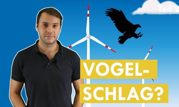 Vogelkiller Windkraftanlage? – Klimawissen – kurz&bündig