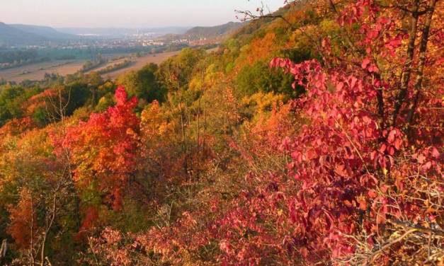 Ergänzende Betrachtung der DWD-Oktobertemperaturen mit den Tages- und Nachttemperaturen – Teil 2