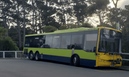 Aufgeflogen: Deutscher „Klimaschutz“ in aller Welt verbrennt Milliarden Steuergelder