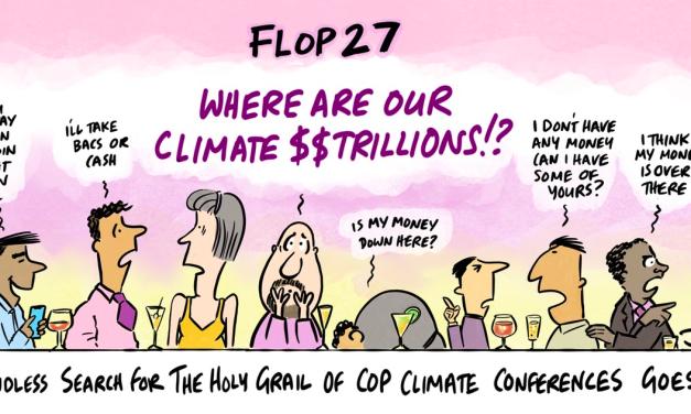 Wie vorhergesagt war COP27 schon wieder ein Flop