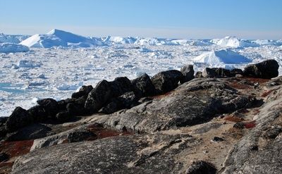 DNA-Forscher entdecken die Geheimnisse des historischen Klimas in Grönland