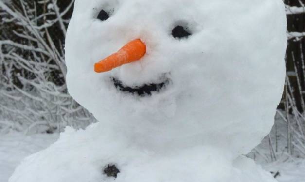 Überraschungs-Ei vor Weihnachten: Zeitweise Winterwetter im Dezember 2022 – welche Folgen hat das für ein im Niedergang befindliches Deutschland?