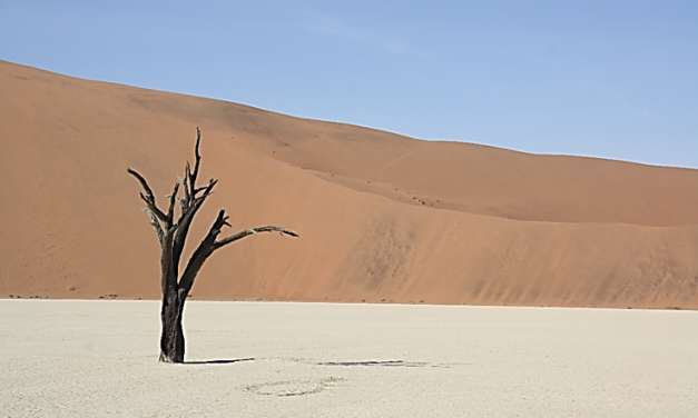 Namibia – Joker in der deutschen Energiewende?