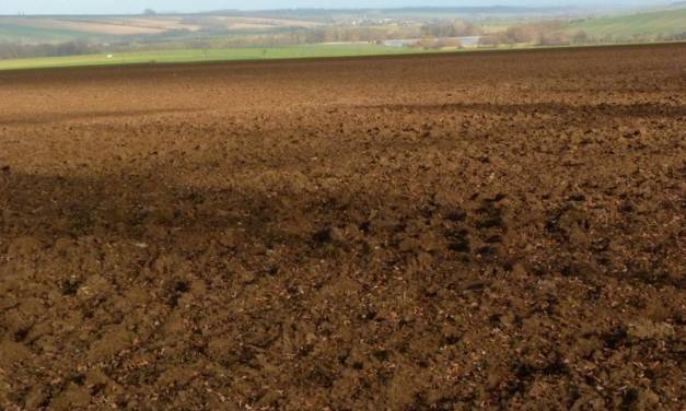 Bislang trister, sehr milder Hochwinter in Deutschland – was hat das mit der NAO zu tun?