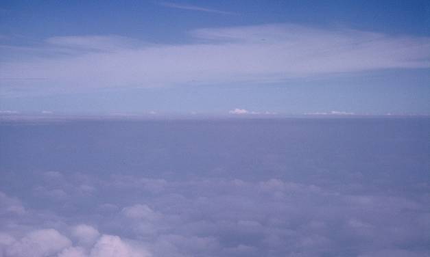 Beim Klimaaktivismus geht es nicht um den Planeten. Es geht um die Langeweile der Bourgeoisie