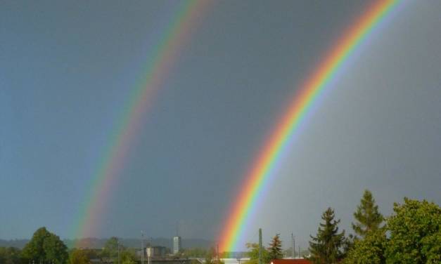 Jahr 2022 in Deutschland – wenig erfreulich für Landwirte und Gärtner