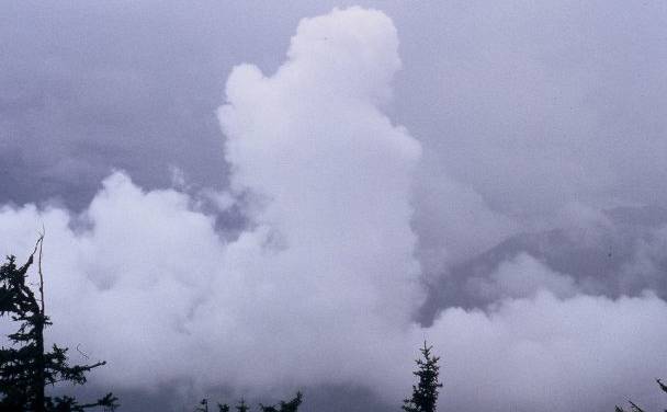 „Dann geschah ein Wunder…“