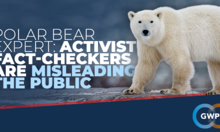 Neue Studie über Eisbären in der westlichen Hudson Bay enthält neue offizielle Daten zu Abschmelzen und Gefrieren