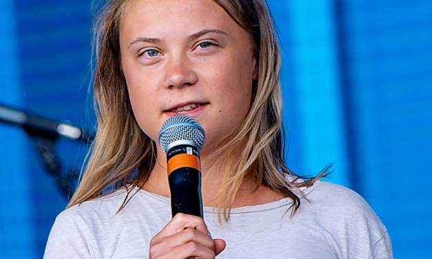 Greta Thunberg auf Michael Shellenbergers Spuren? Sie demonstriert jetzt auch gegen Windkraft