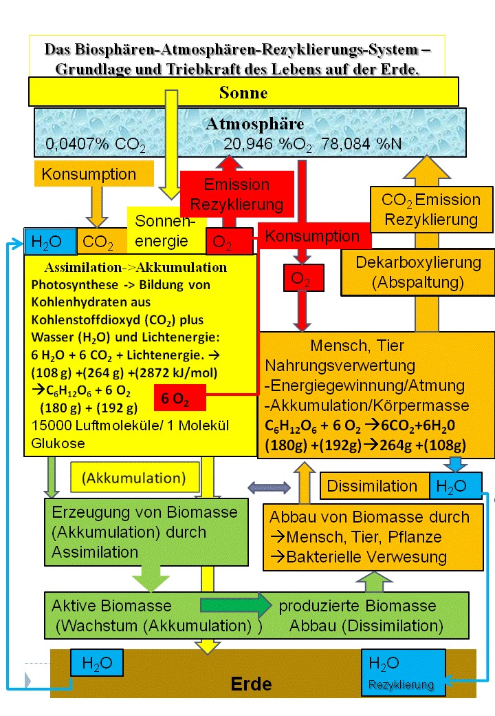 Biosphären-Atmosphären Rezyklierungssystem_3.gif