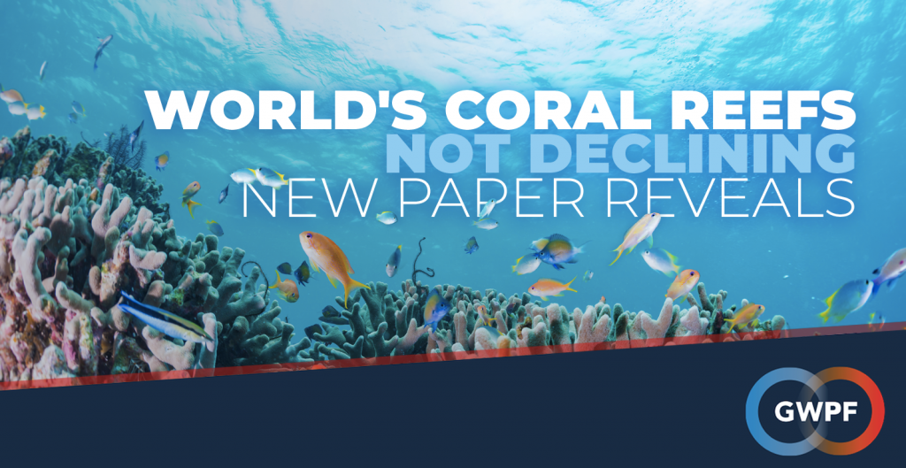 Neue Studie: Die Korallenriffe der Welt gehen <strong><em>nicht</em></strong> unter