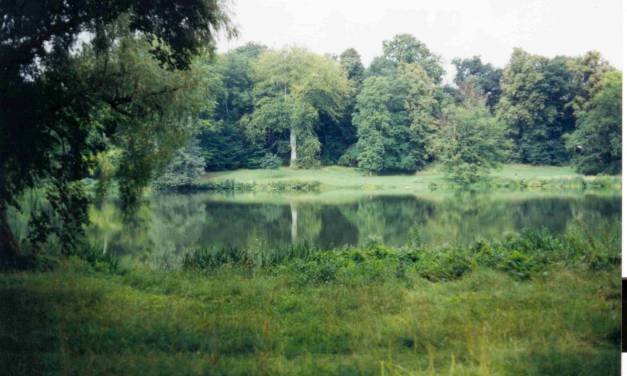 Craig Idso zu den Vorteilen von CO₂: Eine Zusammenfassung