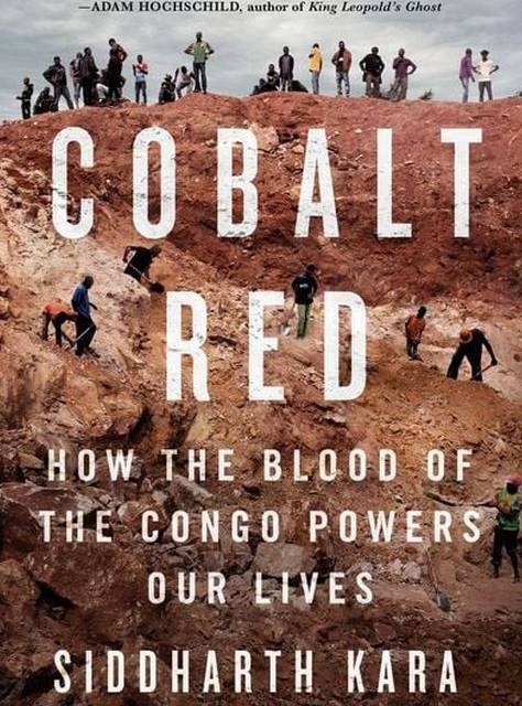 Der menschliche Preis von Kobalt – eine Rezension