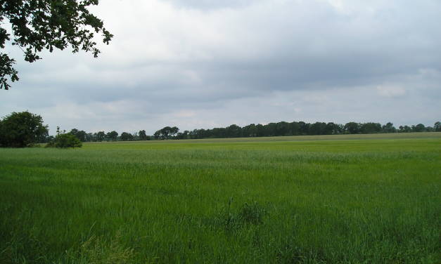 Danke, Epoch Times, für den Bericht über die Zerstörung <em>[nicht nur]</em> der britischen Landwirtschaft durch die Net-Zero-Politik
