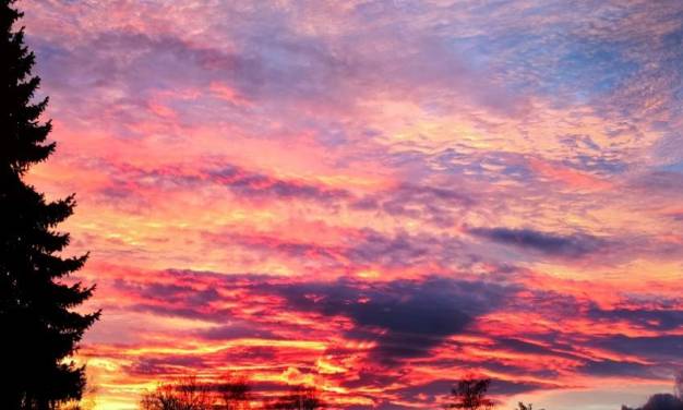 Klimalatein für Laien 5