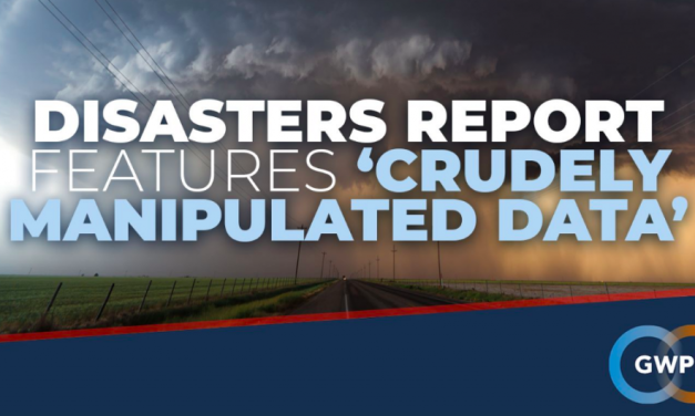 Katastrophenbericht enthält „grob manipulierte Daten“