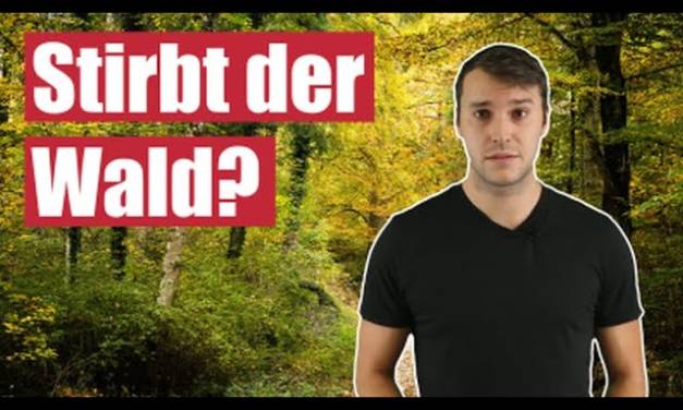 Das Ende des Waldes? Leben wir bald in der Wüste?  – Klimawissen – kurz&bündig