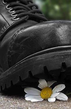 Die Selbstzerstörung Amerikas – von innen her