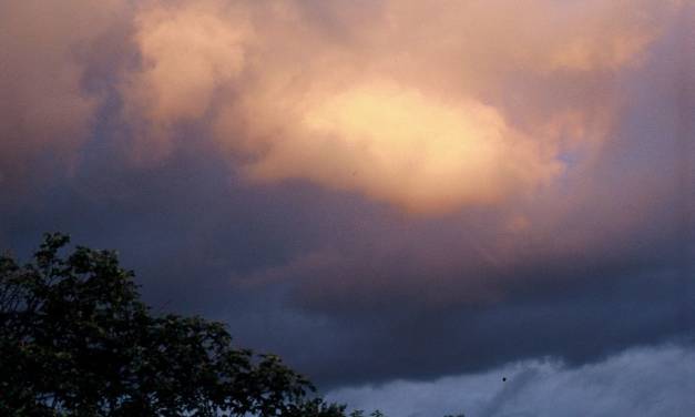 Die bedeutende neue Klima-Studie, von der man nichts hören wird …