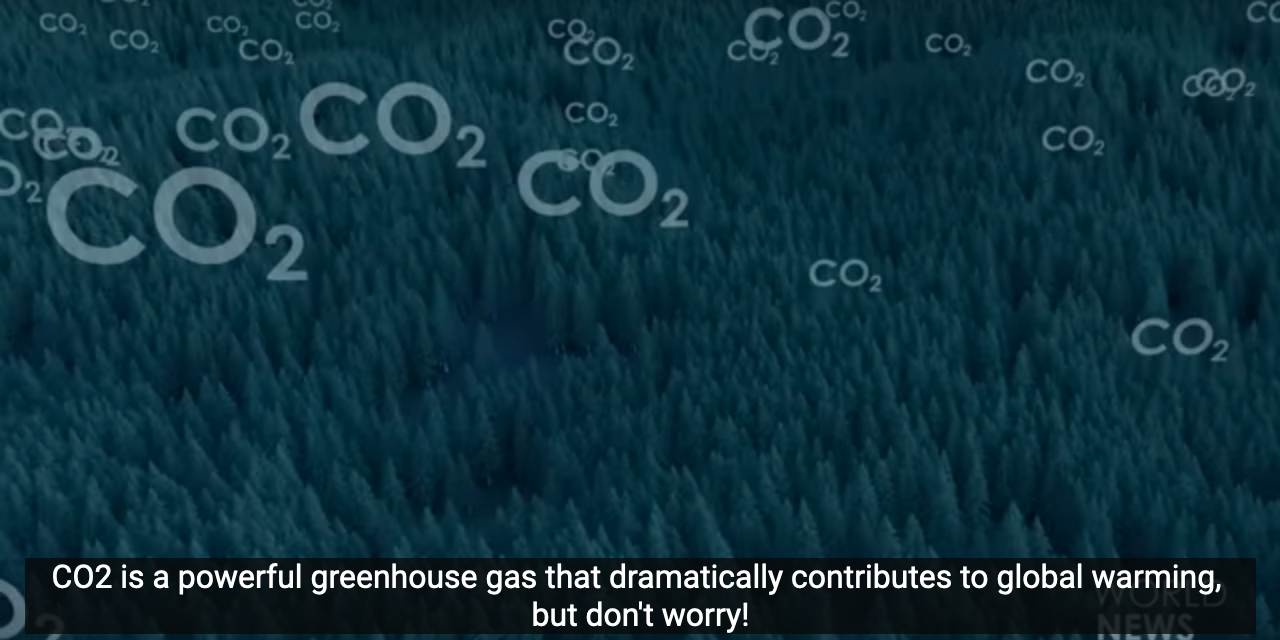 Klima-Dystopie im Video: Regenwälder für Photovoltaik abgeholzt – und alle Methanrinder getötet