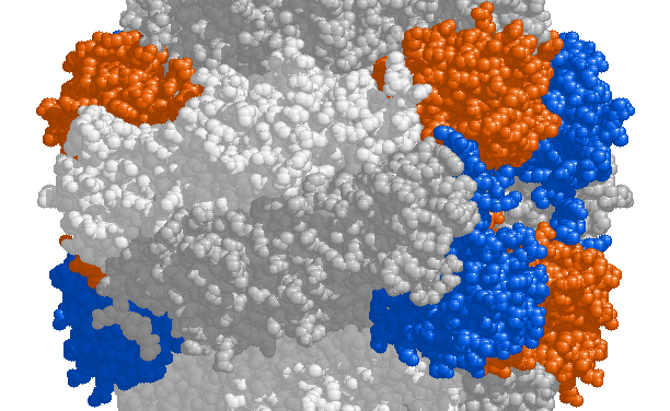 Klima-Hysterie und aggressive Photosynthese-Leugner