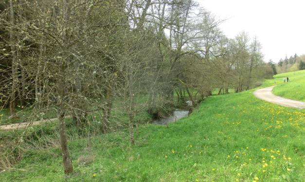 Der Mai ist gekommen, die Bäume schlagen aus. Keine April- und Mai-Erwärmung seit der kleinen Eiszeit.