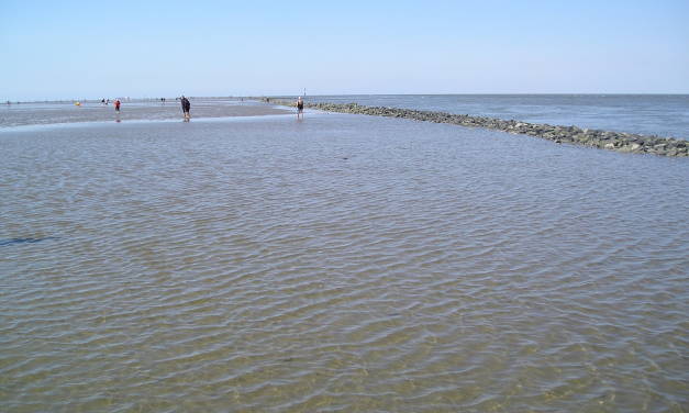 Anomale ozeanische Anomalien