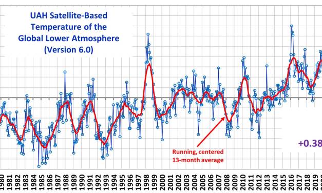 CO2 wird schneller abgebaut als das Bundesverfassungsgericht glaubt – von Fritz Vahrenholt