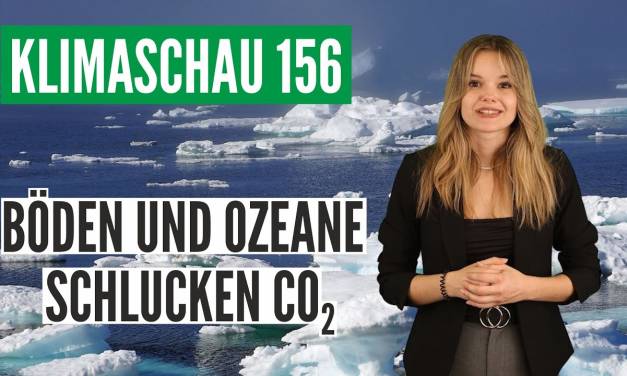 CO2-Senken machen nicht schlapp – Klimaschau 156