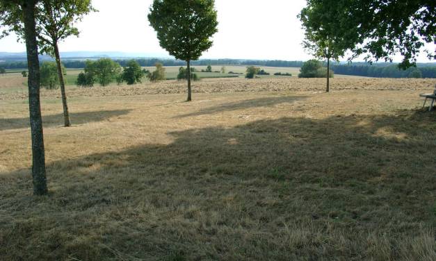 Es gibt keine Klimakatastrophe durch Treibhausgase!