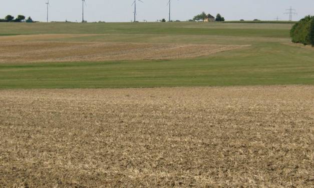 Der deutsche Sommer wurde seit 1988 deutlich wärmer – Teil 2