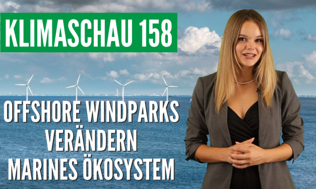 Klimaschau 158: Offshore-Windparks verändern das marine Ökosystem