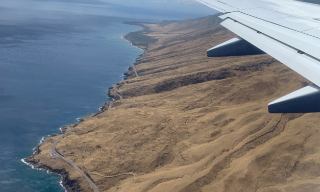 Ursachen der Brände auf den Hawaii-Inseln – Verhindern einer ähnlichen Tragödie in der Zukunft