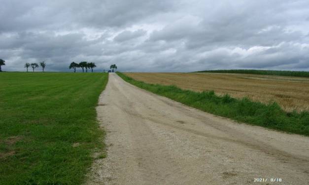Der August wird in Deutschland erst seit 1988 wärmer